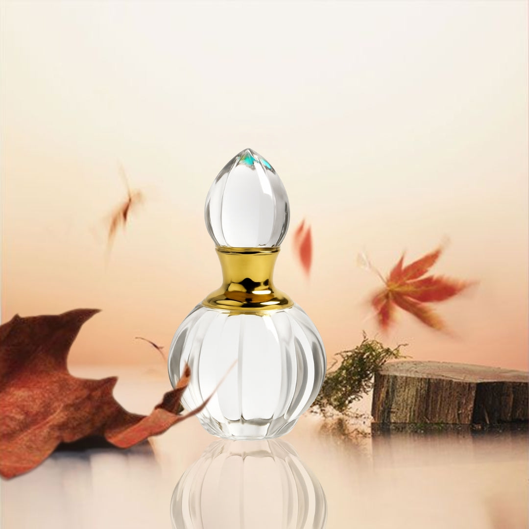 Invectus Paco Rabbana / Invincible